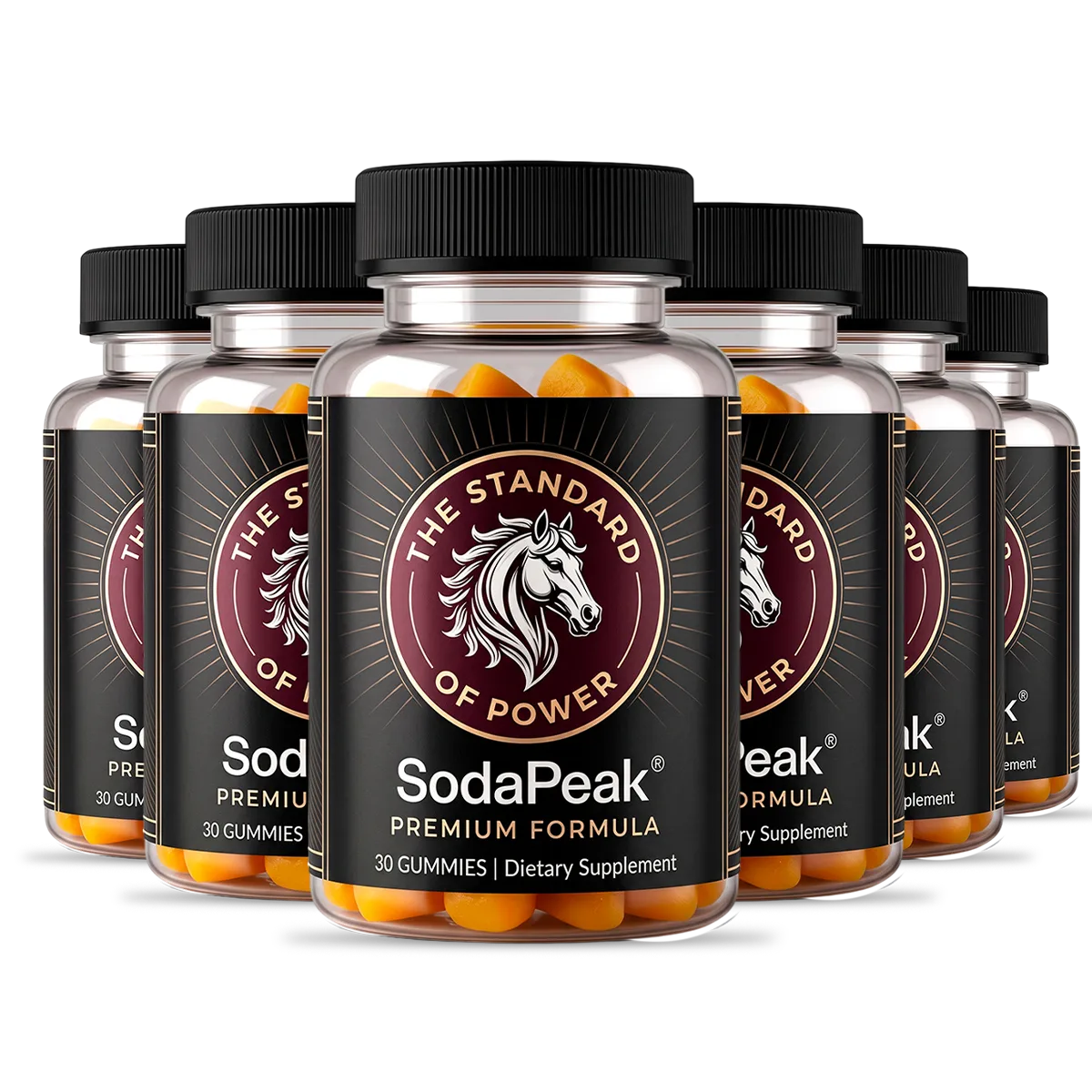 SodaPeak 6-bottle package